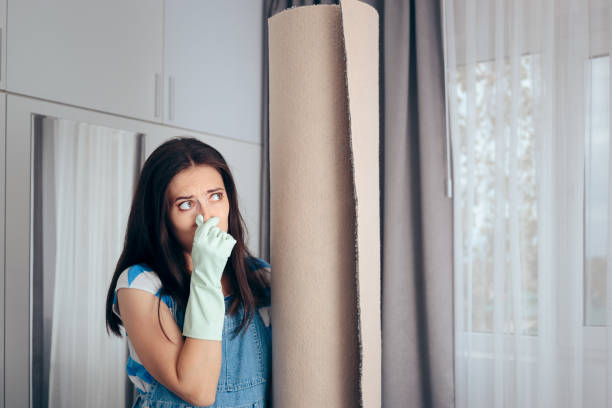 Best Mold Odor Removal Services  in Clyde Hill, WA